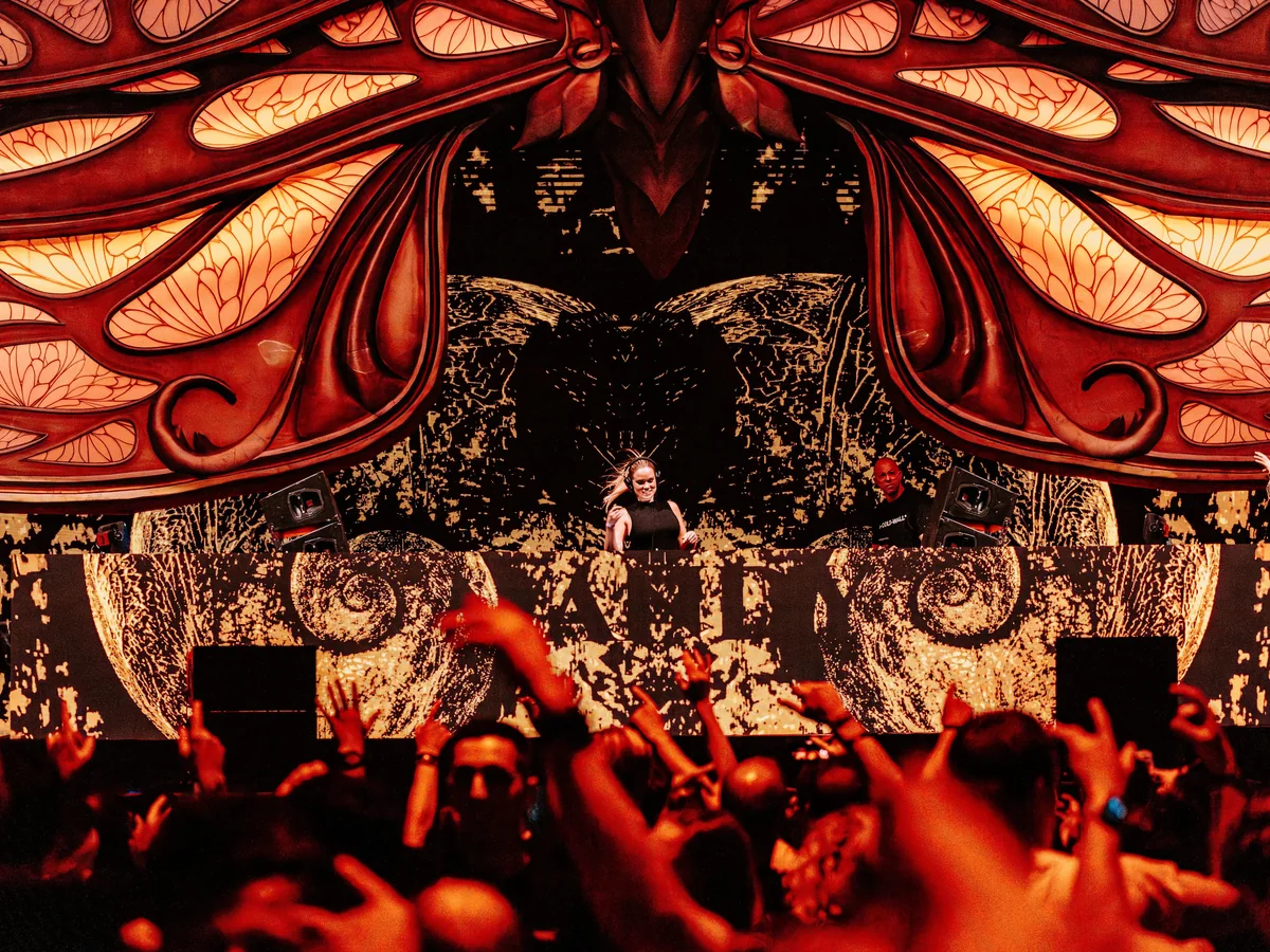 Выступление артиста на сцене Tomorrowland